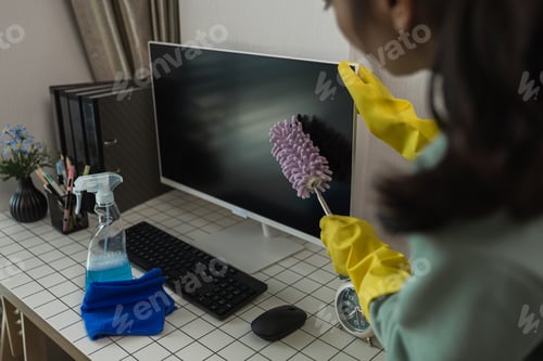 Preview: the housewife is cleaning the house, the wife is cleaning the house