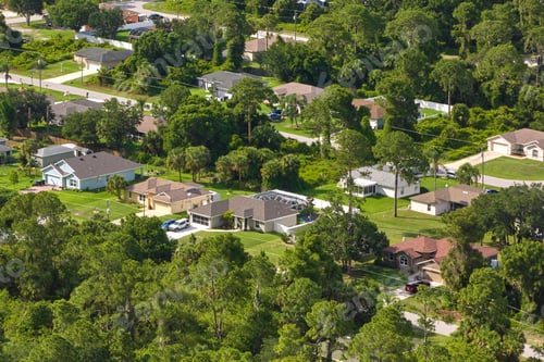 Preview: Aerial landscape view of suburban private houses between green palm trees in Florida