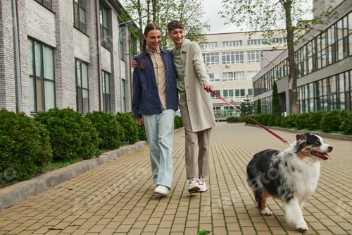 Preview: cheerful gay man in casual outfit holding leash of Australian shepherd dog while walking out