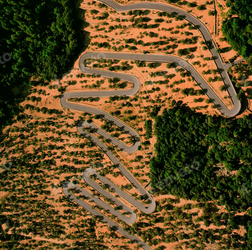 Preview: A winding road snakes through a lush forest from an aerial view.