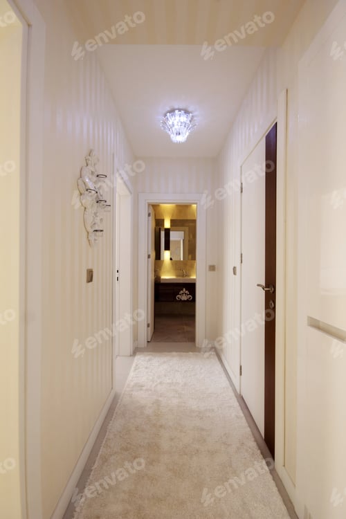 Preview: Corridor of a modern apartment