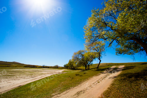 Preview: Grassland scenery