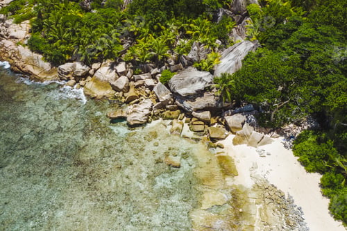Preview: Secluded tropical exotic beach in deep jungle, coconut palm trees as and rocky coast