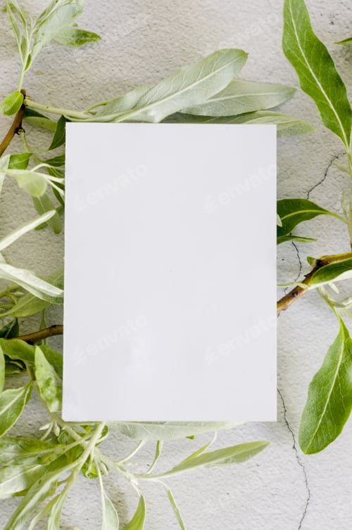 Preview: blank business card mock-up with green olive tree leaves on grey background