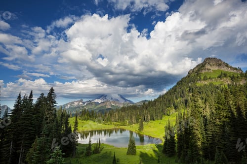 Preview: Mt Rainier