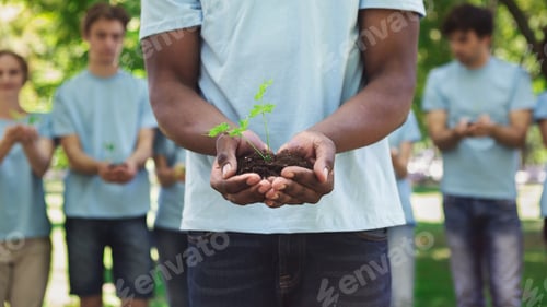 Preview: African-american man hands holding plant in soil