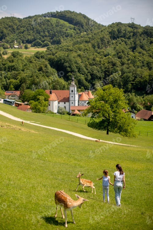 Preview: Little girls walking among reindeer herd on the sunny day