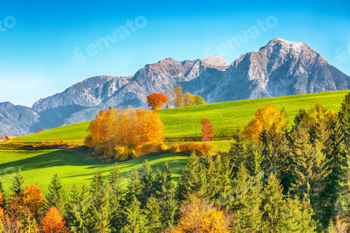 Preview: Astonishing autumn scene of meadow near Schiederweiher