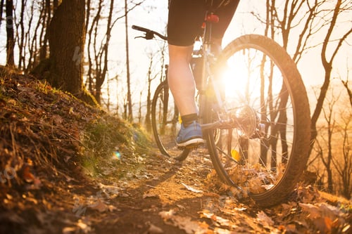 Preview: Mountain biker