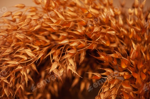 Preview: christmas wreath made of plants painted golden closeup