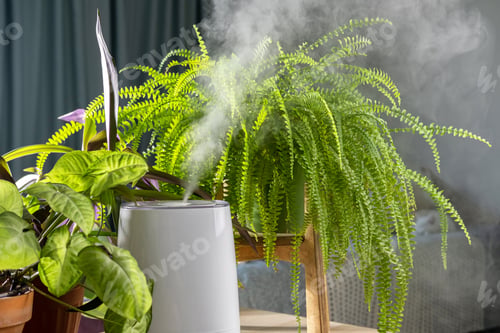 Preview: Close up of modern air humidifier. Humidification for cultivation of house plants.