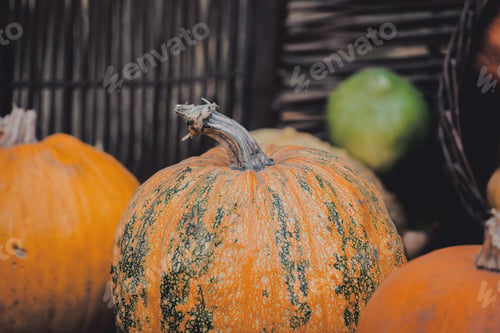 Preview: group of a yellow pumpkins on a ground