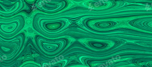 Abstract Organic Texture of Vivid Green Concentric Waves