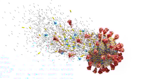 Preview: Coronavirus Breaking Apart in Red Yellow and Blue