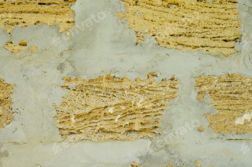 Preview: Texture background brick from shells, wall is made of shells brick