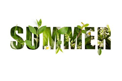 Preview: Summer leaves and flowers with paper cut text Summer. Green nature, vacation time banner. Top view