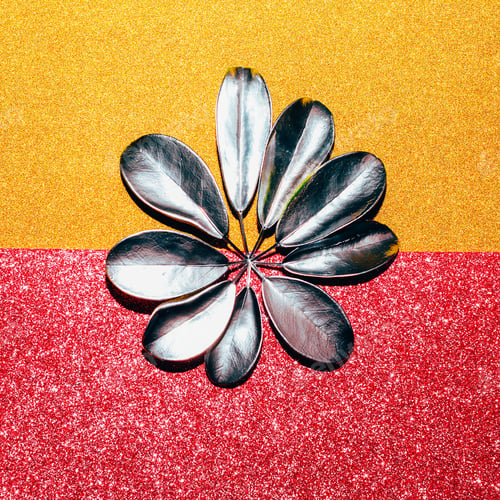 Preview: Silver tropical leaf on shine background. Minimal
