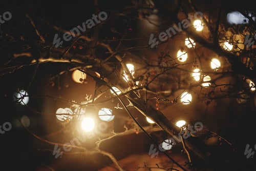 Preview: Stylish light bulbs and christmas lights on tree branches in town square in evening