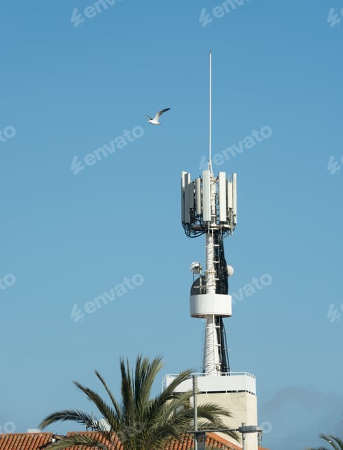 Preview: Cell tower on background of the clear blue sky with a gull flying