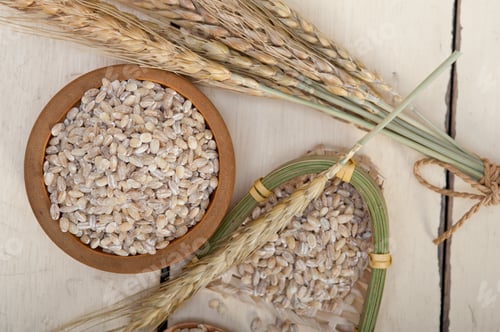 Preview: organic barley grains