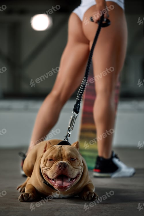 Preview: Sexy and srong brunette woman posing with bully dog on city street, crop shot