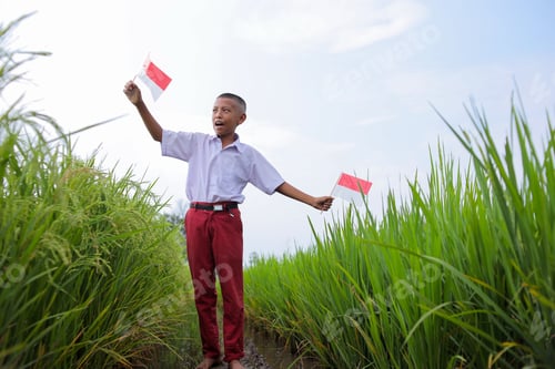 Preview: Young Boy Joyfully Holds Two Small Indonesian Flags In Rice Field