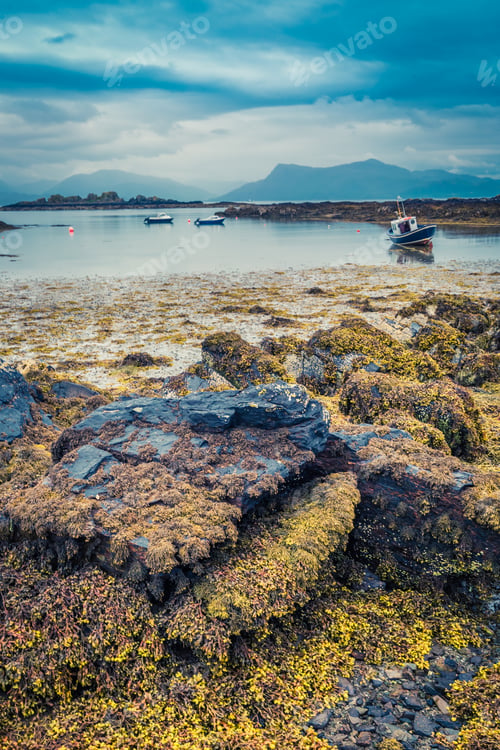 Preview: Coast at low tide and ships aground in Scotland