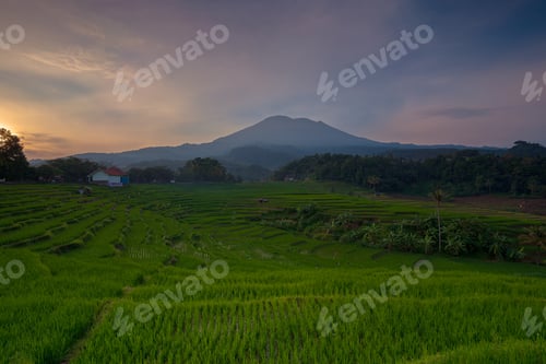 Preview: Scenic view of the landscape and plantation in Majalengka, West Java, Indonesia