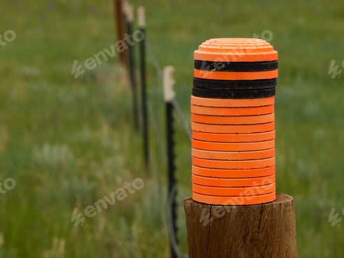 Preview: Clay pigeon