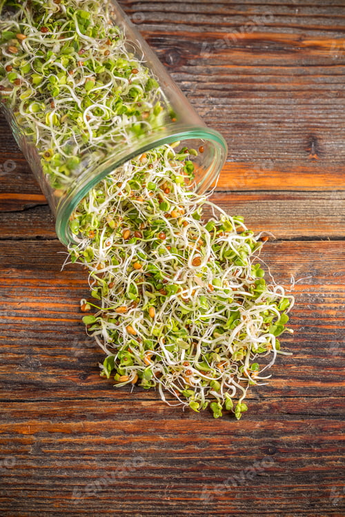 Preview: Various sprouts