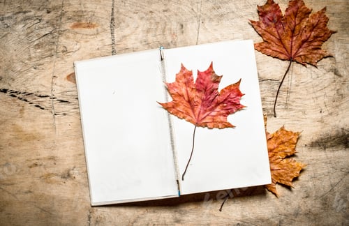 Preview: Old books and autumn leaves.