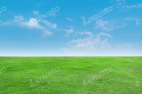 Preview: Landscape view of green grass with bright blue sky and clouds background.