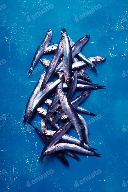 Preview: Anchovies. Top view, fish pattern, classic vertical orientation. Toned in blue color