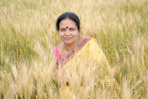 Preview: Beautiful young Indian woman wear in saree at the wheat field
