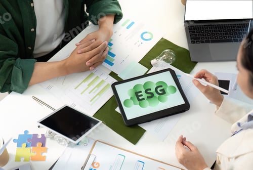 Preview: ESG Analysis and Strategy Development in Professional Setting