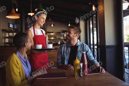 Preview: Waitress interacting with customer