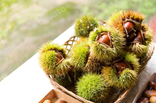 Preview: Chestnut with skin