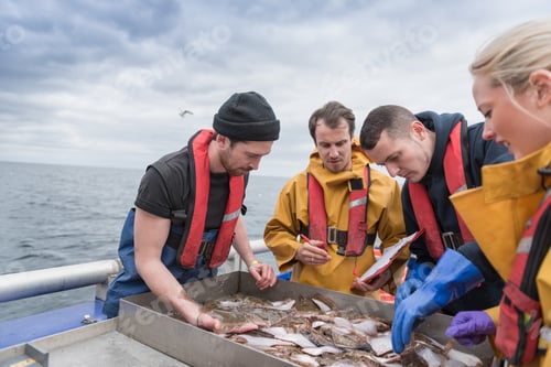 Preview: Research scientists measuring fish on research ship