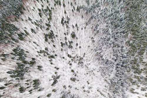 Preview: Aerial drone view of a winter landscape. Snow covered forest.