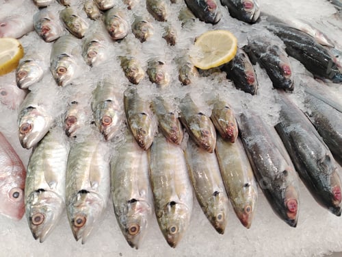 Preview: Fresh raw fish in the market