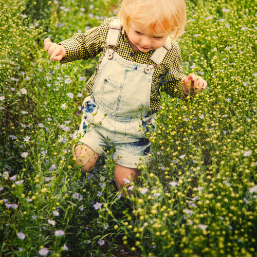 Preview: Kid in flower field