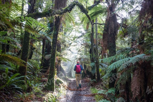 Preview: Tramping
