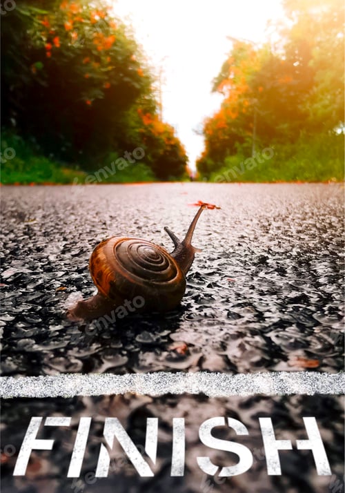 Preview: Close up big snail walking to finish.Golas, successful,slow and steady concept.