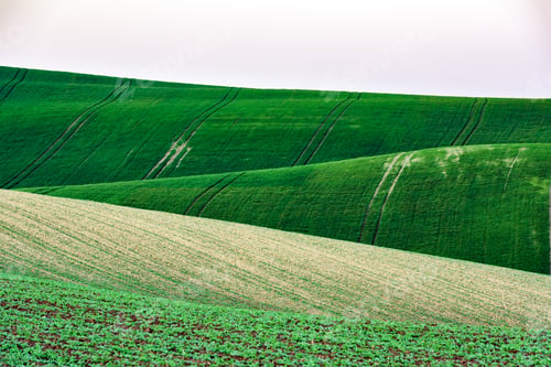 Preview: Abstract rural landscape with agricultural fields