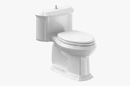 Preview: Classic White Toilet with Closed Seat