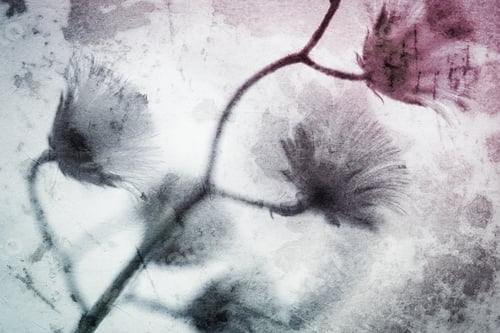 Preview: Colorful Flowers In Vintage Color Style On Mulberry Paper Texture For Background