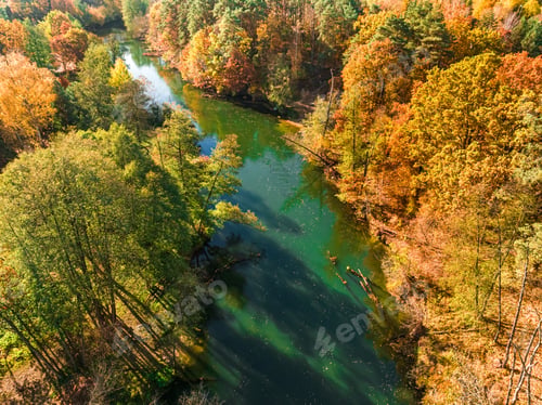 Preview: Colorful autumn trees at sunrise at the Brda River, Poland.