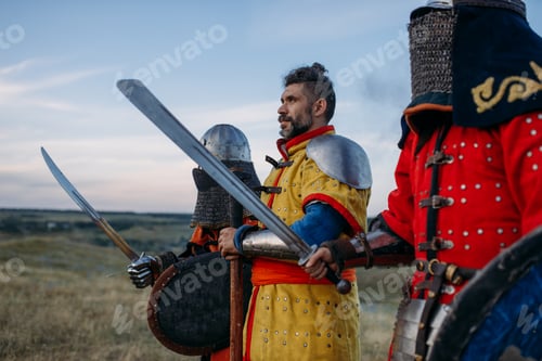 Preview: Knights with swords and axe poses in armour