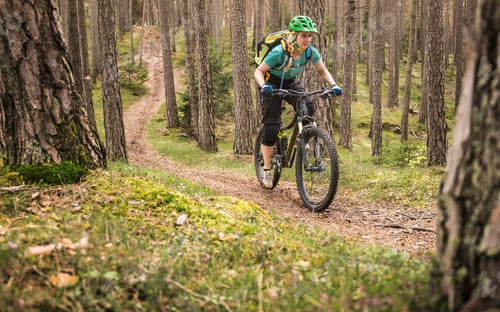 Preview: Woman mountain biking in forest, Bozen, South Tyrol, Italy