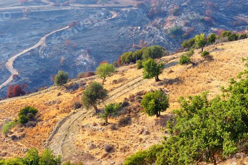 Preview: Aerial view of picturesque landscape between Paphos and Polis on the island of Cyprus.